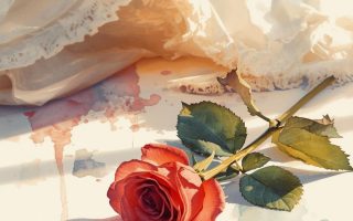 Por qué las personas que se conocen solo por la voz crean conexión más rápido