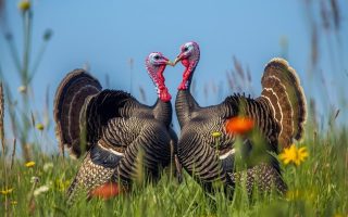 Arkadaşlıktan Sevgiliye Geçmenin En Hızlı Yolu